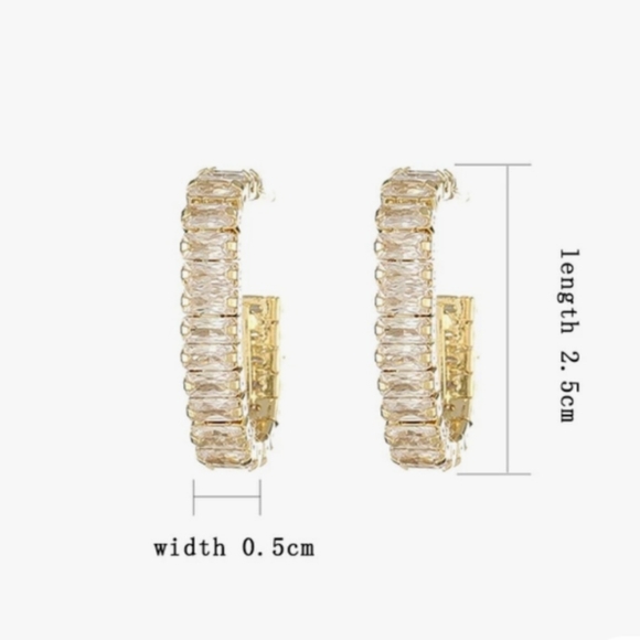 14K GOLD TEMPERAMENT WITH AAA ZIRCON STUD EARRINGS - Picture 8 of 8